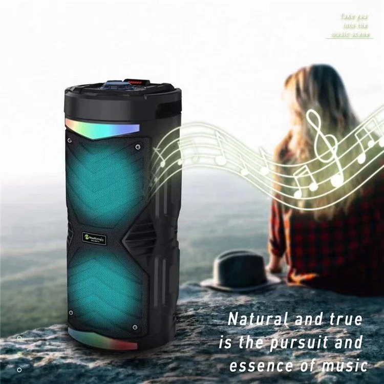 NEWRIXING NRG6601A Portable Karaoke Wireless Bluetooth Speaker Outdoor 20W High Power Audio Amplifier Support TF Card/AUX/USB/FM Radio - Black